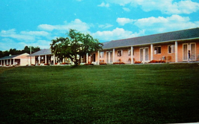 Halsteads Bayside Park Motel & Restaurant - Vintage Postcard